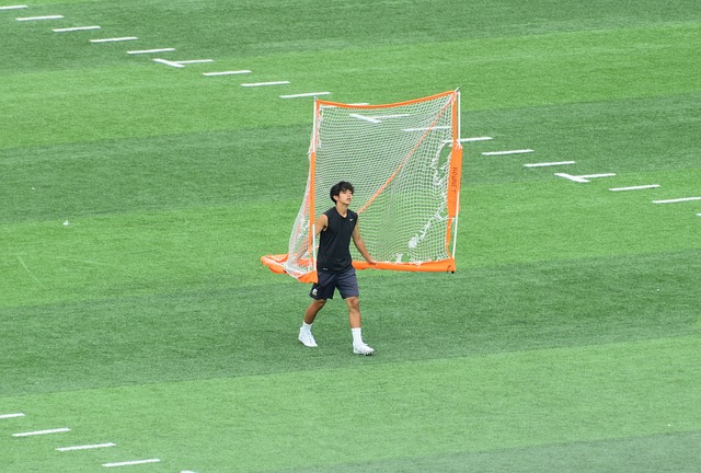 在此不仅仅